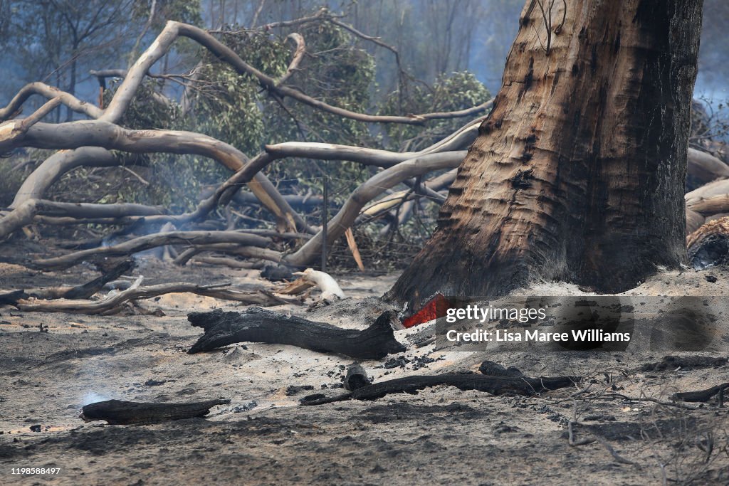 Kangaroo Island Bushfire Threat Increases As Residents Are Told To Evacuate