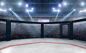 MMA arena.