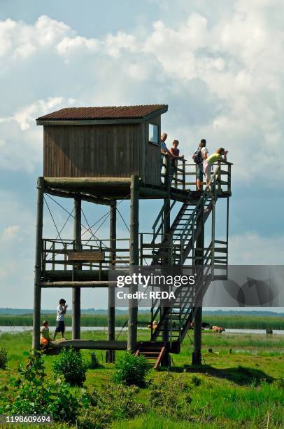 Lake Engure Nature Park Photos and Premium High Res Pictures Getty Images