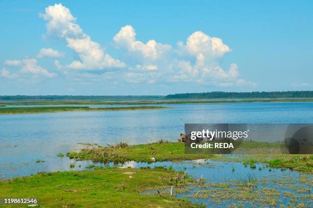 21 Lake Engure Nature Park Stock Photos, HighRes Pictures, and Images
