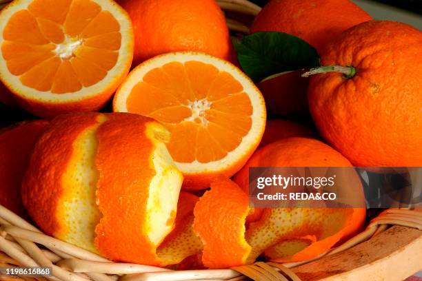 Citrus aurantium, sweet orange, arance.