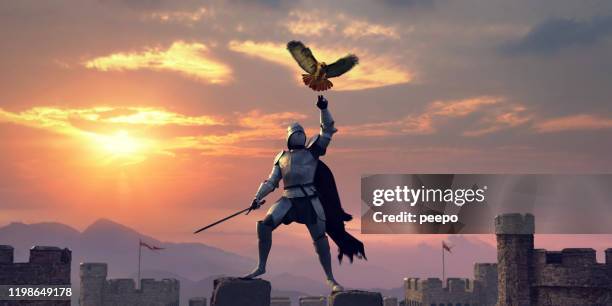 armoured knight standing on castle roof with bird of prey - cavaleiro imagens e fotografias de stock