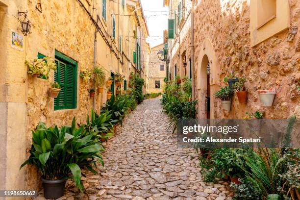 beautiful cobbled street in valdemossa village, mallorca, spain - palma maiorca 個照片及圖片檔