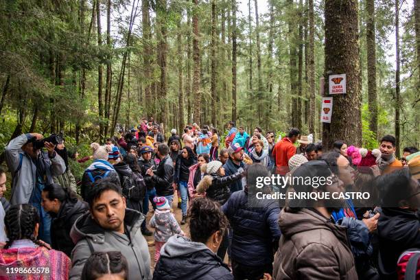 People visit the Rosario Sanctuary -- the winter home of Monarch butterflies -- , in the Ocampo municipality, Michoacan state, Mexico, on February 3,...