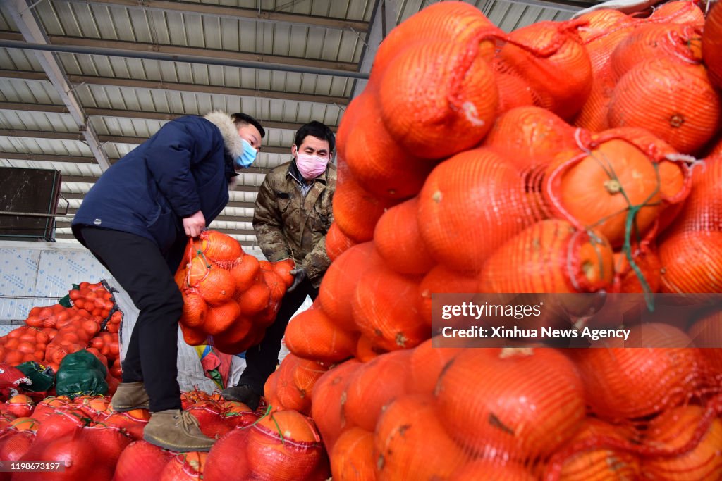 CHINA-HENAN-ZHENGZHOU-AGRICULTURAL PRODUCT-SUPPLY (CN)