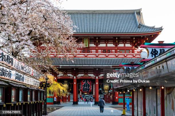 Japan, Honshu, Tokyo, Asakusa, Sensoji Temple and Cherry Blossom, 30075305.