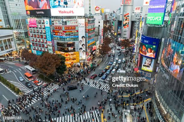 Japan, Honshu, Tokyo, Shibuya, Night Lights and Skyline, 30075892.