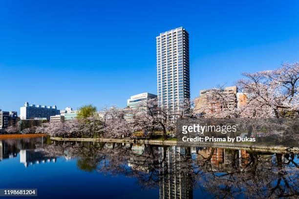 Japan, Honshu, Tokyo, Ueno, Ueno Park, Shinobazu Pond and Ueno Skyline, 30075463.