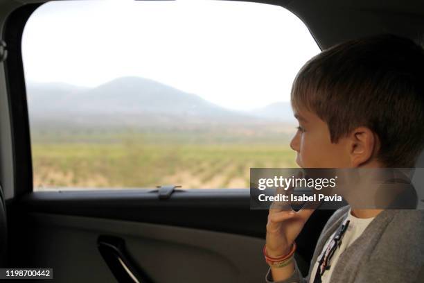 boy looking through window while sitting in car - car back view bildbanksfoton och bilder