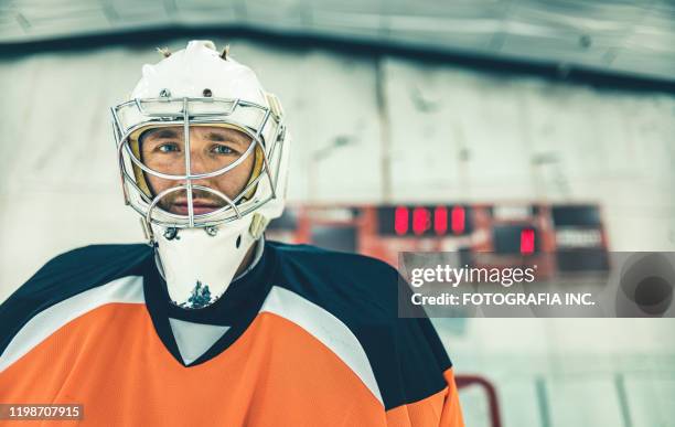 portero pro hockey - mens ice hockey fotografías e imágenes de stock