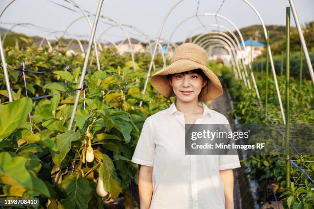 japanese woman wearing hat standing in vegetable field, smiling at camera. - exclusivamente japonés fotografías e imágenes de stock