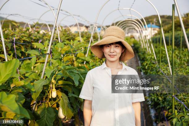 japanese woman wearing hat standing in vegetable field, smiling at camera. - only japanese stock pictures, royalty-free photos & images