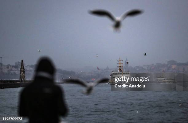 Ferry passes as seagulls fly over Sea of Marmara in the morning in Istanbul, Turkey on February 5, 2020