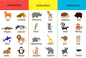 Carnivores, herbivores, omnivores. Animals by category. Educational card for children. Zoology for schoolchildren and preschoolers. Bear, shark, anteater, giraffe, hippo, kiwi, lion, ostrich