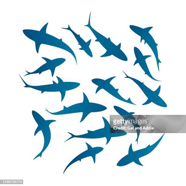 schwimmenhai eis silhouetten - fischschwarm stock-grafiken, -clipart, -cartoons und -symbole