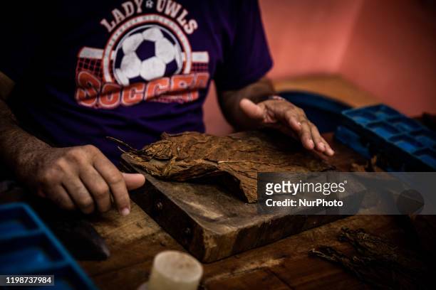 Man show how to create a cigar in Reparto Conchita, Cuba, on January 18, 2020. Vinales is a small town and municipality in the north-central Pinar...