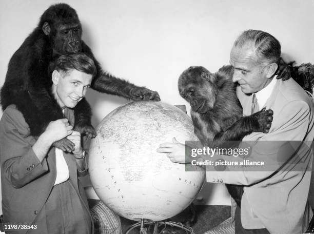 Der Zoologe und Direktor des Zoos in Frankfurt am Main, Bernhard Grzimek , und sein Sohn Michael stehen im Juli 1955 neben einem Globus und...