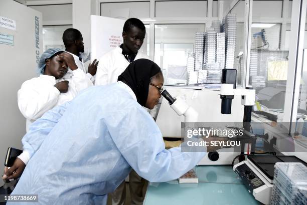 Scientific staff members works in a secure laboratory, researching the coronavirus, at the Pasteur Institute in Dakar on February 3, 2020. The...