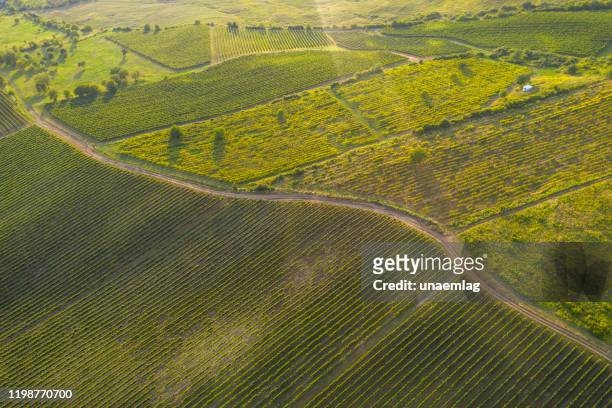 aerial image of a winery located in transylvania, romania - cluj-napoca romania stock pictures, royalty-free photos & images