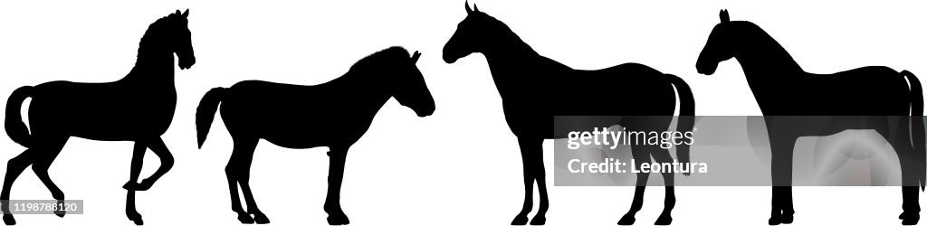 Highly Detailed Horse Silhouettes