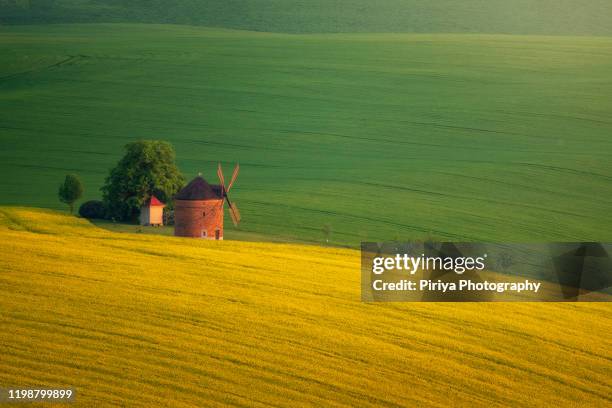 green hills from moravia czech - moravia stock pictures, royalty-free photos & images
