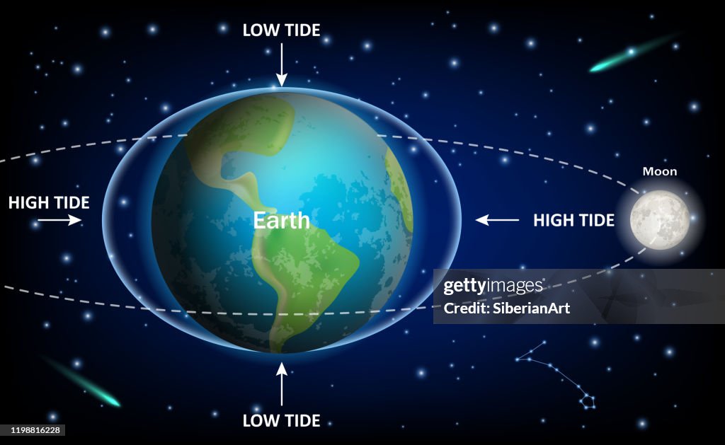 Lower Moon Numbers Low And High Moon Tides Vector Education Diagram High-Res Vector ...