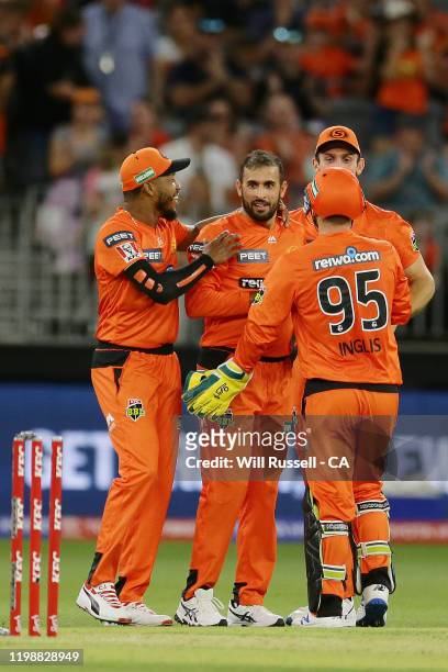 Fawad Ahmed of the Scorchers celebrates after taking the wicket of Tom Banton of the Heat during the Big Bash League match between the Perth...