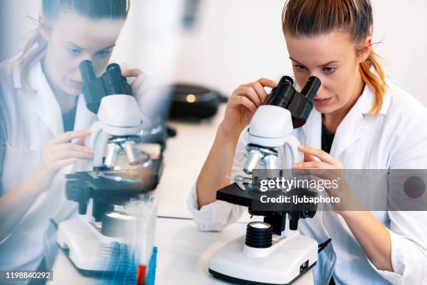Looking In A Microscope 352 Reflecting Microscopes Stock Photos, High-Res Pictures, and Images ...