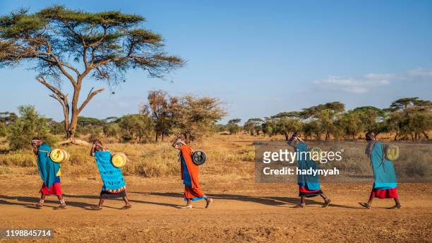african women from maasai tribe carrying water, kenya, east africa - village imagens e fotografias de stock