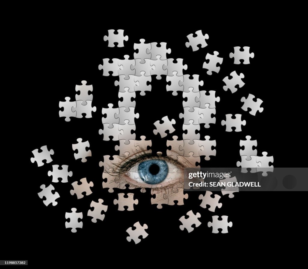 Human eye puzzle