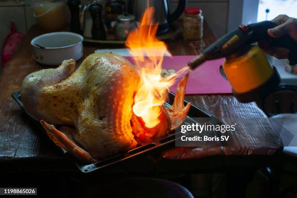 flaming over turkey to remove feathers - burnt dinner stock pictures, royalty-free photos & images