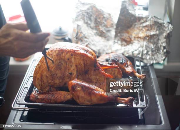 checking turkey meat temperature - tin foil costume - fotografias e filmes do acervo