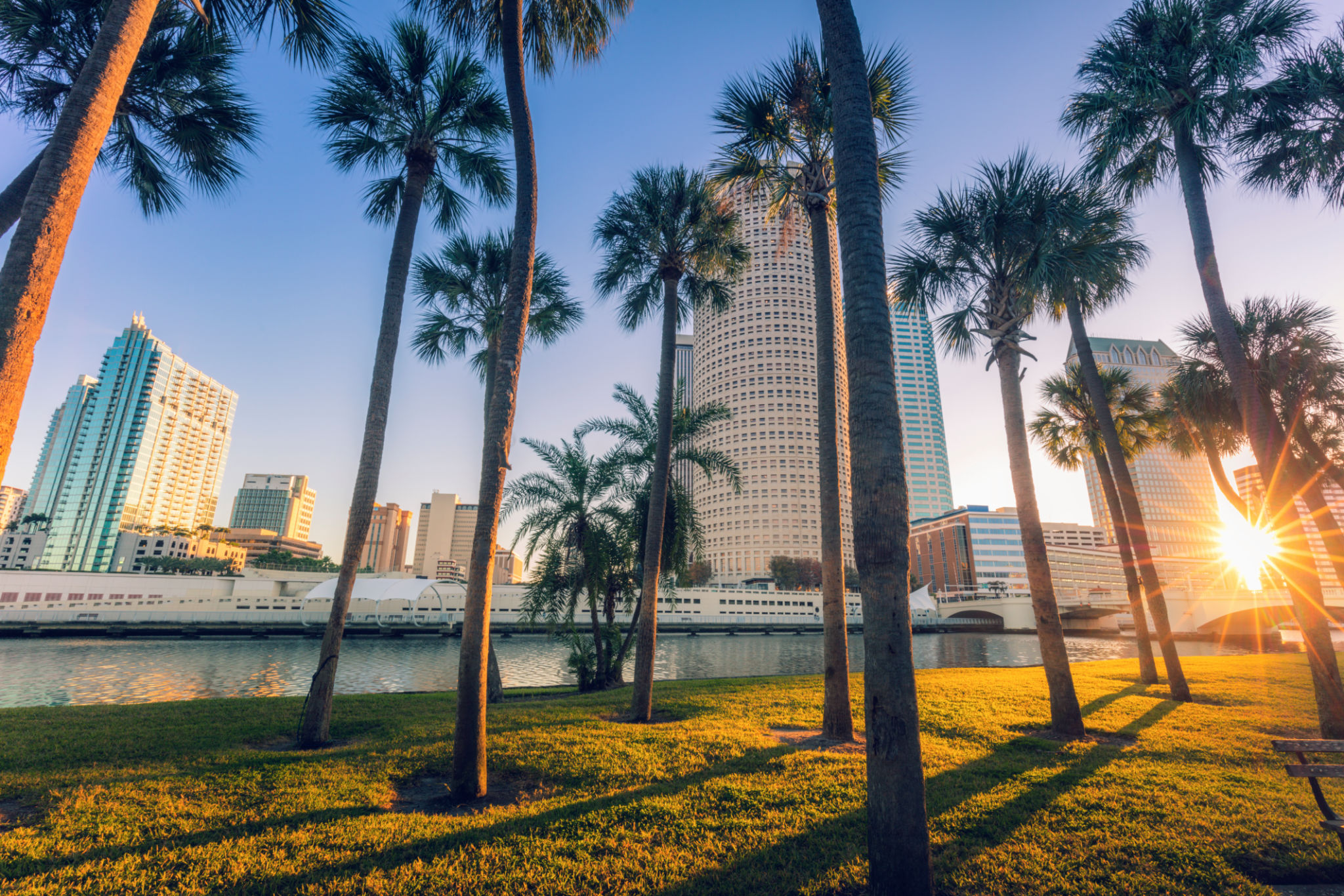 tampa local event