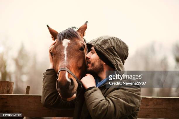 young man kissing beautiful horse. - animal nose stock pictures, royalty-free photos & images