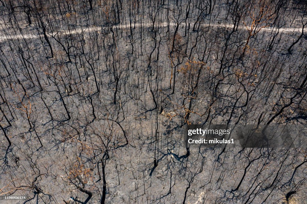 Australian bush fire destruction