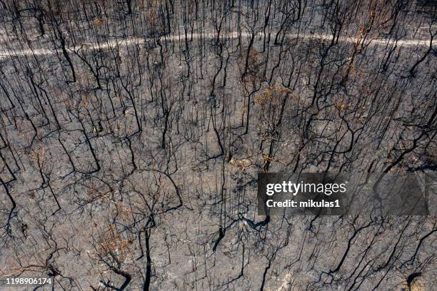 australian bush fire destruction - great dividing range stock pictures, royalty-free photos & images