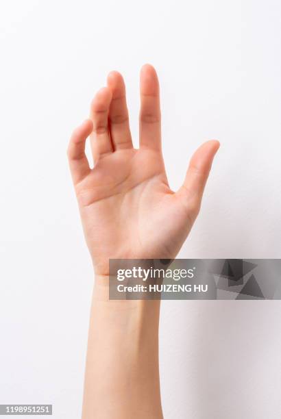 female hand holding, open hand - woman thumb stock pictures, royalty-free photos & images