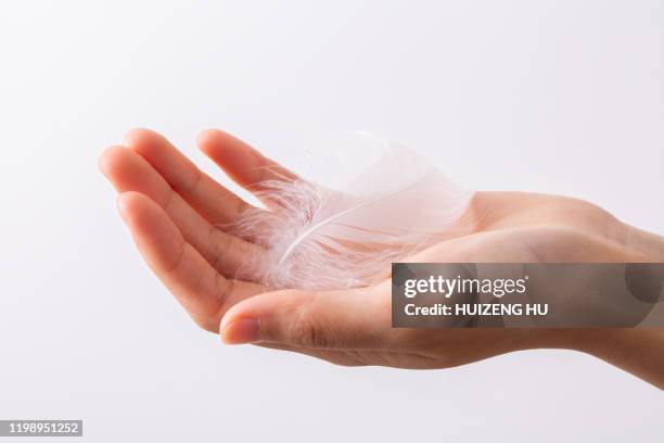 white feather on the woman's hand - federn stock-fotos und bilder