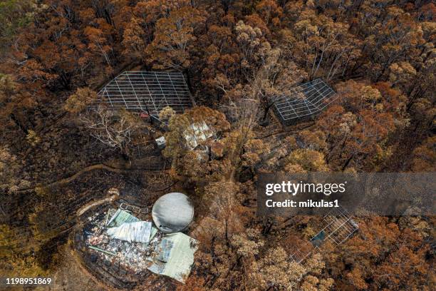 bush fire destruction - new south wales bush fire stock pictures, royalty-free photos & images