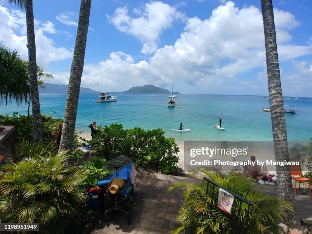 fitzroy island near cairns, queensland - fitzroy-island-national-park stock pictures, royalty-free photos & images