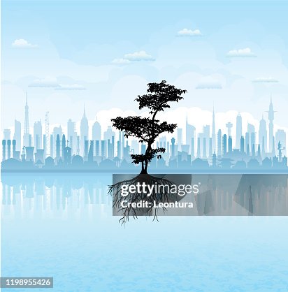 根 根