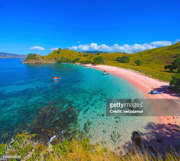 view of beautiful pink beach at flores island, indonesia - komodo island stock-fotos und bilder