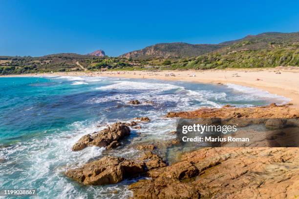 view of arone beach with rocks, pine trees and azure sea, near golfe de porto, corsica island, france, europe. - corsica beach stock pictures, royalty-free photos & images