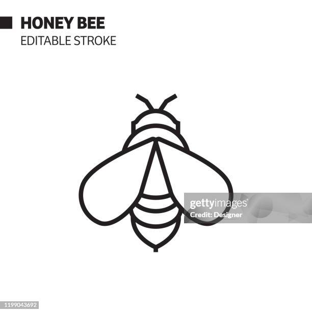 Honey Bee Outline Photos and Premium High Res Pictures - Getty Images