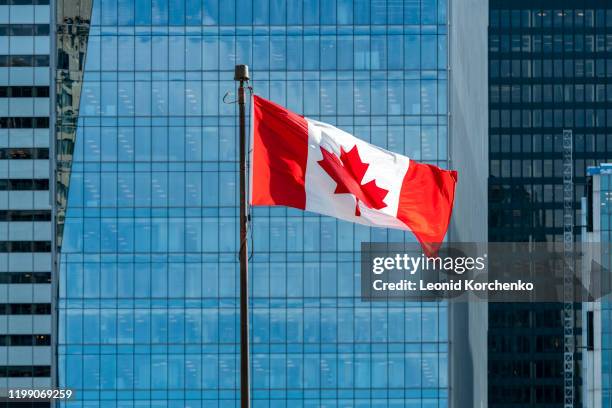 canadian flag waving on the wind - bandiera del canada foto e immagini stock