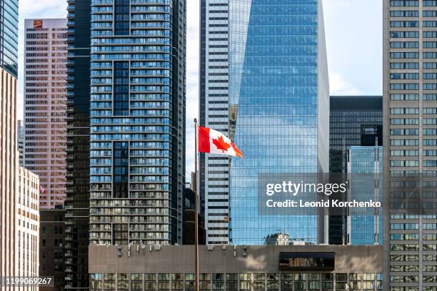 canadian flag waving on the wind - bandiera del canada foto e immagini stock