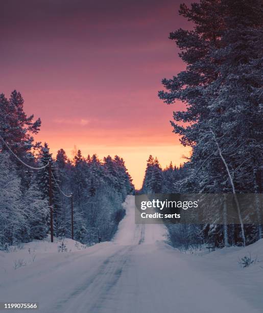 sunrise view in winter snowy forest from lapland, finland - finland landscape stock pictures, royalty-free photos & images