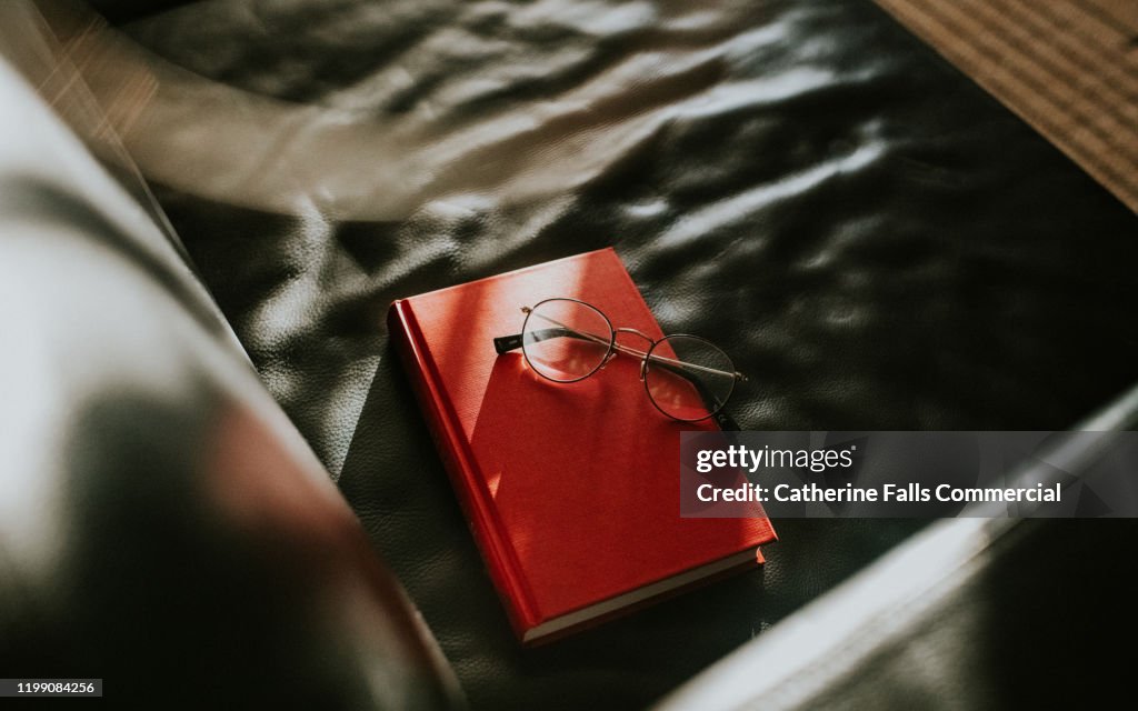 Book on a Sofa