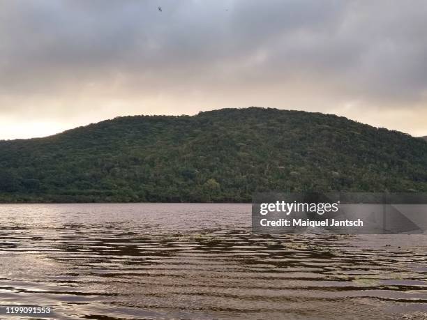 a lake and a mountain in the background in the atlantic forest (mata atlântica) - kleiner hügel stock-fotos und bilder