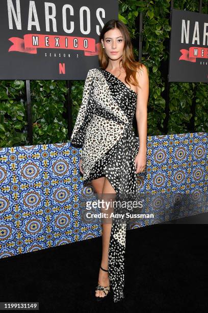 Alejandra Guilmant attends the premiere of Netflix's "Narcos: Mexico" Season 2 at Netflix Home Theater on February 6, 2020 in Los Angeles, California.